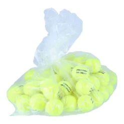 Dunlop Tennisbälle Training (drucklos) Gelb Polybag 60er -Head || Wilson || YONEX Verkäufe DUNLOP 605034 1 1200x1200 1