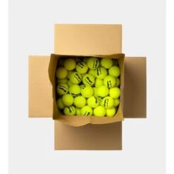Dunlop Tennisbälle Fort Xtra Life (drucklos, Speziell Für Ballmaschine) - 72 Stück -Head || Wilson || YONEX Verkäufe Dunlop 602798 FORT XTRA LIFE 72BOX SLINGER Ball 2 880x880 1